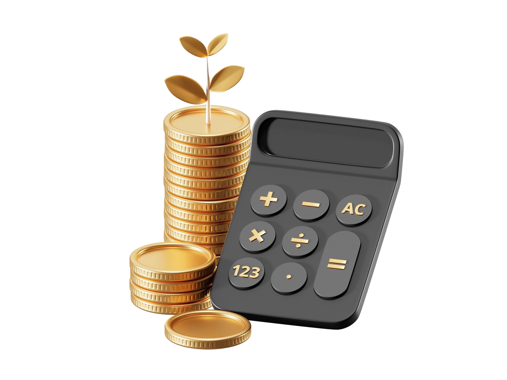 3d-financial-calculation-with-accounting-investment-elements